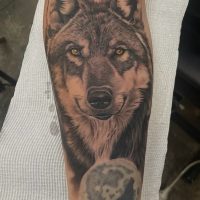 Explore our realistic wolf tattoo by Tiny, showcasing detailed artistry and dedication to realism at The Wolves Den. Realistic wolf tattoo by Tiny at The Wolves Den Pakenham.